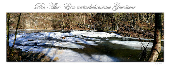 Die naturbelassene Ahr