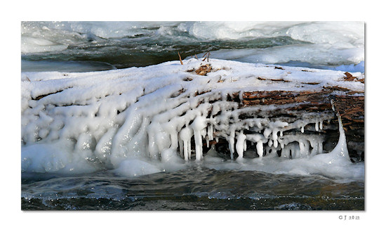 zugefrorener Baumstamm in der Ahr