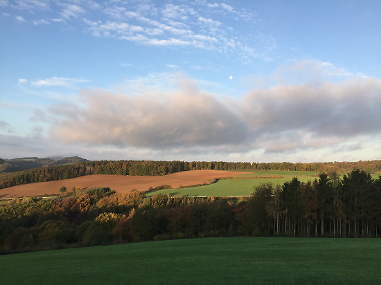 Herbst an auf der D&uuml;mpelhardt