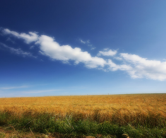 Die naturbelassene Ahr